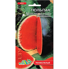 Кавун Тюльпан ранній 2
