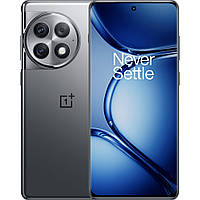 Смартфон OnePlus Ace 2 Pro 24/1TB Titanium Gray [99613]