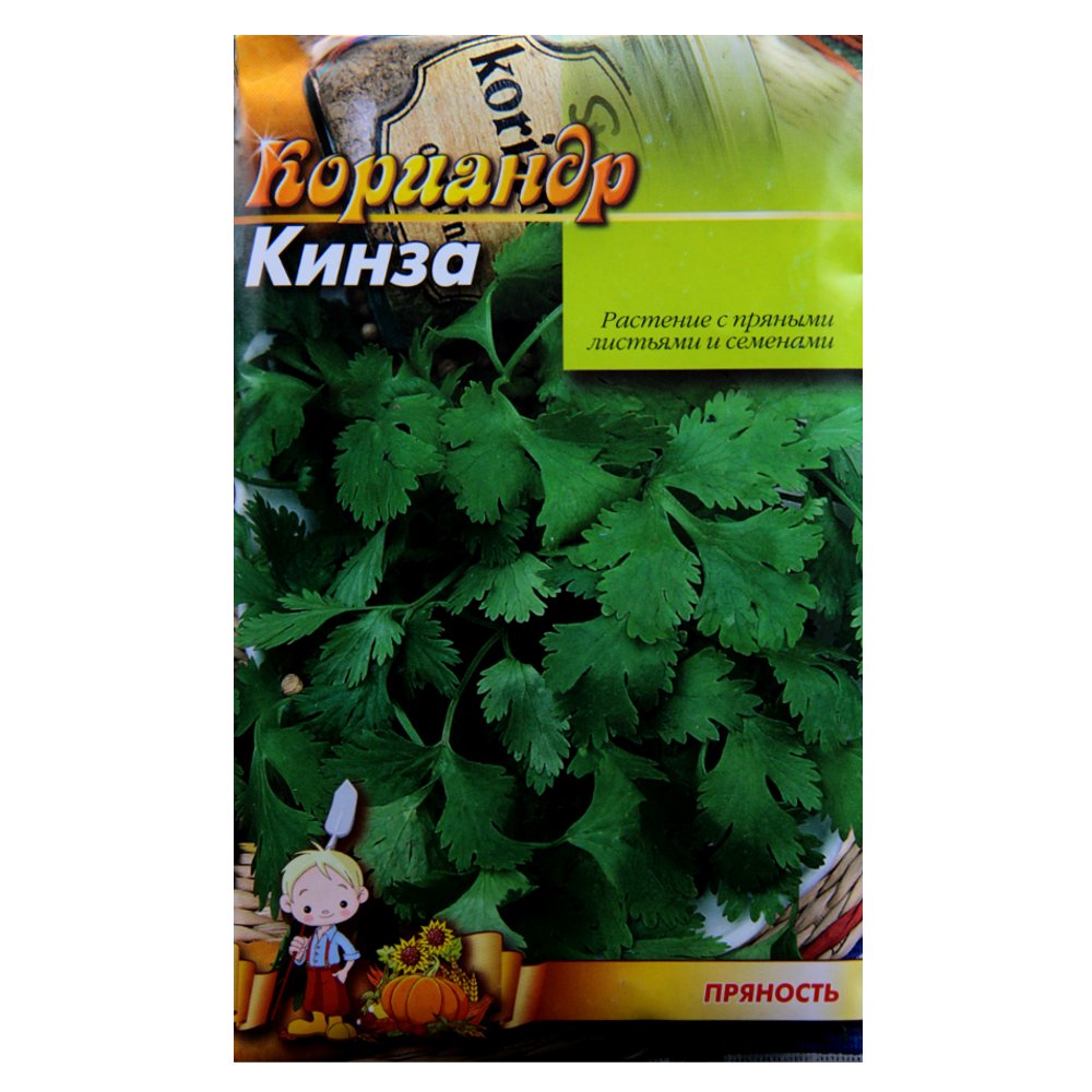 Насіння Кинза Коріандр великий пакет 15 г, фото 1