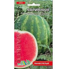 Кавун Чарівник ранній смугастий 3