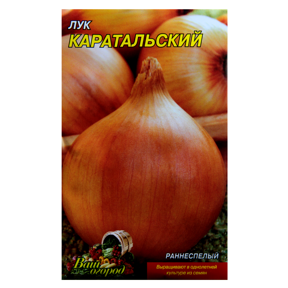 Цибуля Каратальська ранньостигла великий пакет 5 г, фото 1
