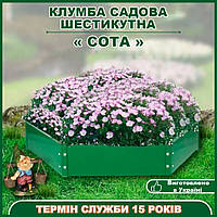 Клумба "Сота"