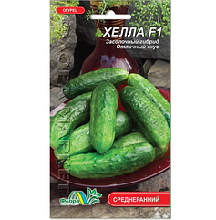 Насіння Огірок Хелла F1 Польща середньоранній 0.5 г