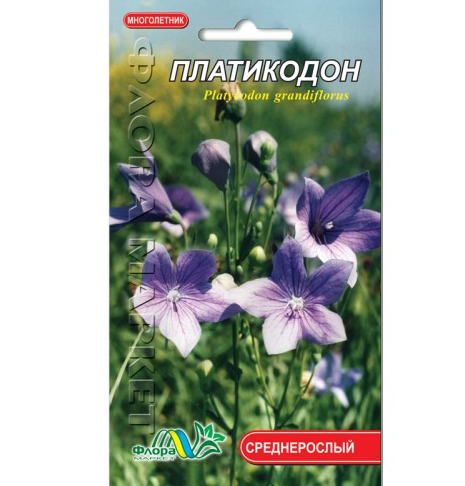 Платикодон, багаторічна рослина, насіння квіти 0.05 г