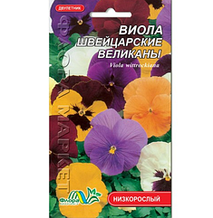 Віола Швейцарські велетні, дворічна рослина, насіння квіти 0.05 г