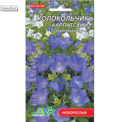 Дзвіночок Карпатський, багаторічна рослина, насіння квіти 0.05 г