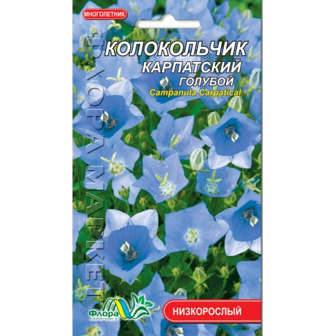 Дзвіночок Карпатський блакитний, багаторічна рослина висотою 10-40 см, насіння квіти 0.01 г