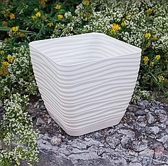 Горщик Цукру Квадро 13 см з піддоном Кремовий