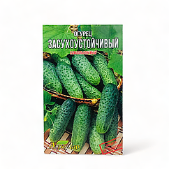 Огірок Засухостійкий самоопилюваний насіння великий пакет 4 г