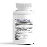 MSM (метилсульфонілметан) сірка bionic formula1, фото 2