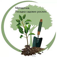 Методичка .Посадка садових рослин. 0грн