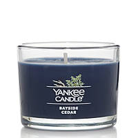 Свеча Yankee Candle "Прибрежный кедр" ароматическая соевая в стекле