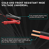 Імпульсний зарядний пристрій EAFC PULSE REPAIR CHARGER 12 V 10 A для акумуляторів (новлена версія), фото 3