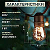 Гірлянда вулична в стилі ретро світлодіодна F27 на 10 LED ламп довжиною 5 метрів, фото 3