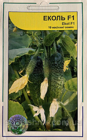 Огірок Еколь F1 10 насінин, фото 1
