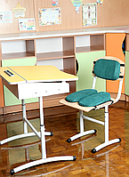 Комплект детских ортопедических подушек для сидения School Comfort (М1+М2) ТМ Correct Shape