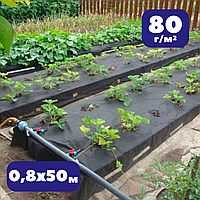 Агроволокно черное Bradas 80г/м² 0,8х50м спанбонд для клубники винограда теплицы мульчирующее (br-AWB8008050)