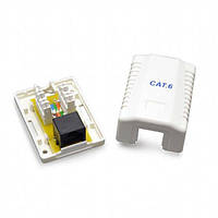 Cablexpert Socket (NCAC-2F5E-01) 2HRJ-45, Cat5e,