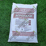 Агролайф 10:10:10 25кг, Київ Святошино добриво не гранульоване, фото 3