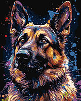 Картина за номерами 40×50 см Kontur. Вірний друг. Вівчарка. DS0582