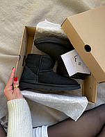 Женские ботинки UGG Mini Black Suede теплые угги