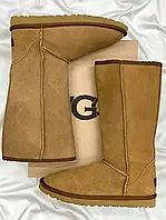 Женские ботинки UGG Classic Tall II Boot Light Beige (Распродажа) угги