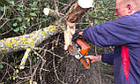 Спилить дерево в Харькове, фото 2