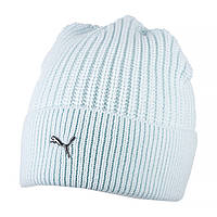 Шапка PUMA Metal Cat Beanie Голубой One size (7d2487404 One size)