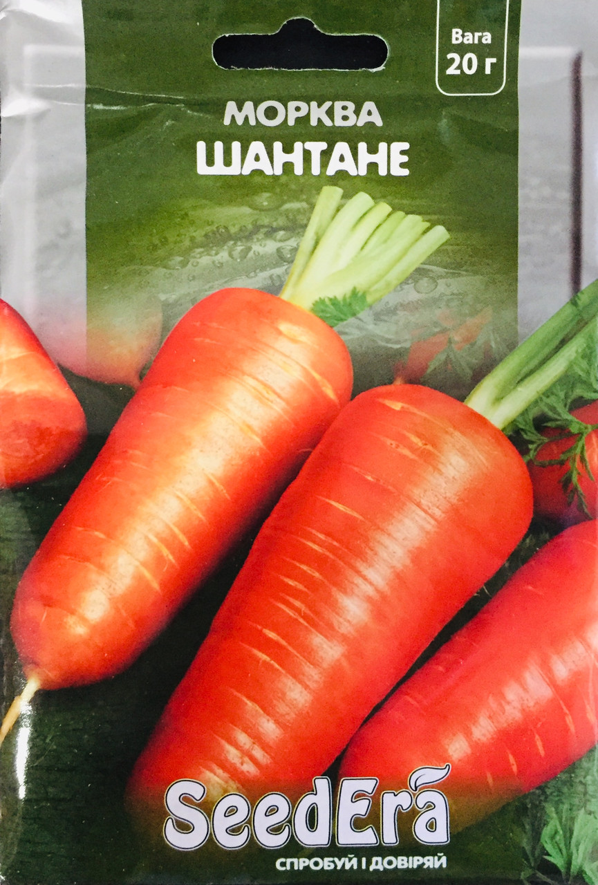 Морква столова Шантане  20 г, фото 1