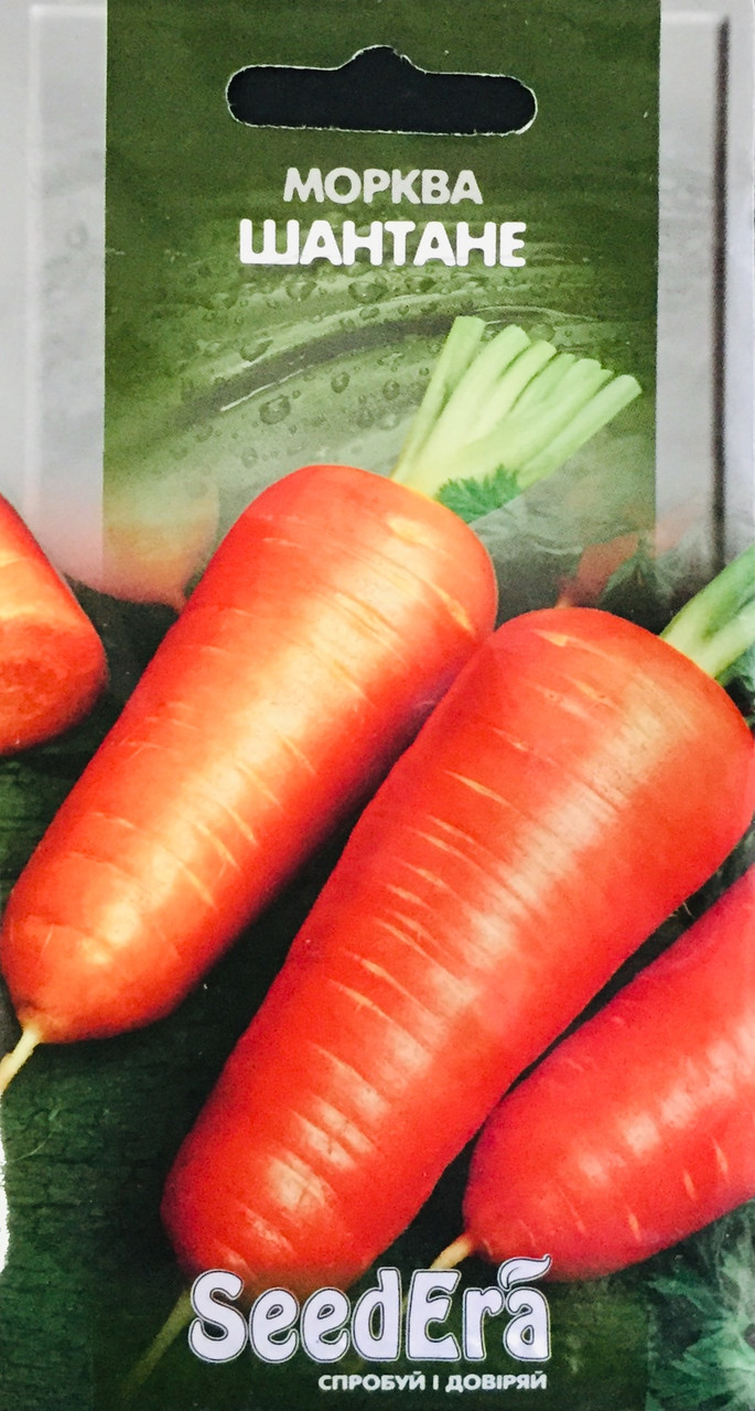 Морква столова Шантане  2 г, фото 1
