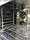 Пароконвект Unox XEBC-06EU-E1R BAKERTOP, фото 6
