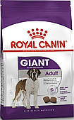 Корм для собаки гігантських порід Royal Canin Giant Adult 4 кг