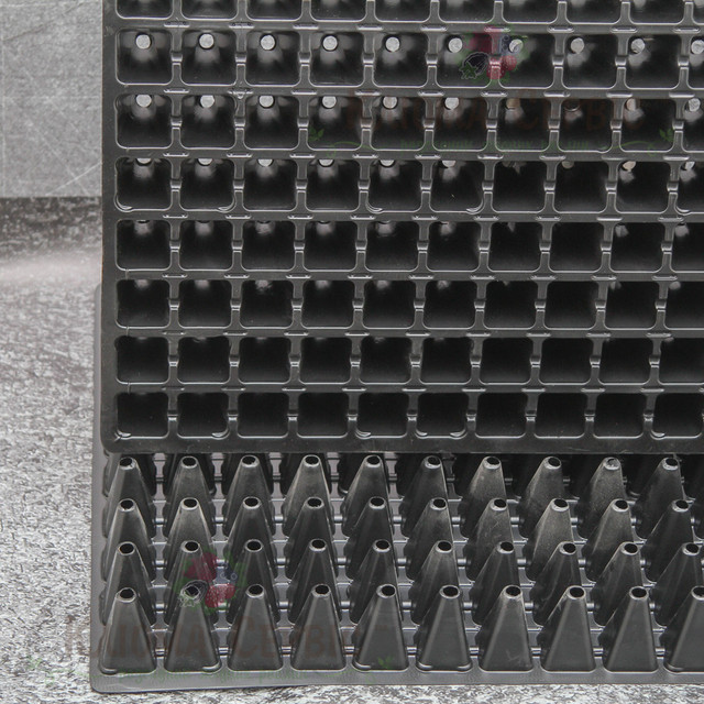 Касета для розсади 160 осередків по 25 мл конусні для посіву капусти, баклажанів, перцю та інших овочів. касета 160, конусна касета 160, пластикова касета 160 осередків купити оптом