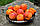 Саджанці абрикоса Фріссон, фото 2