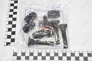 Ремкомплект супорта Ланос,Сенс,Лачетті (2 колеса) (4 направл+4 пильника+мастило) (KAP) (93740249)