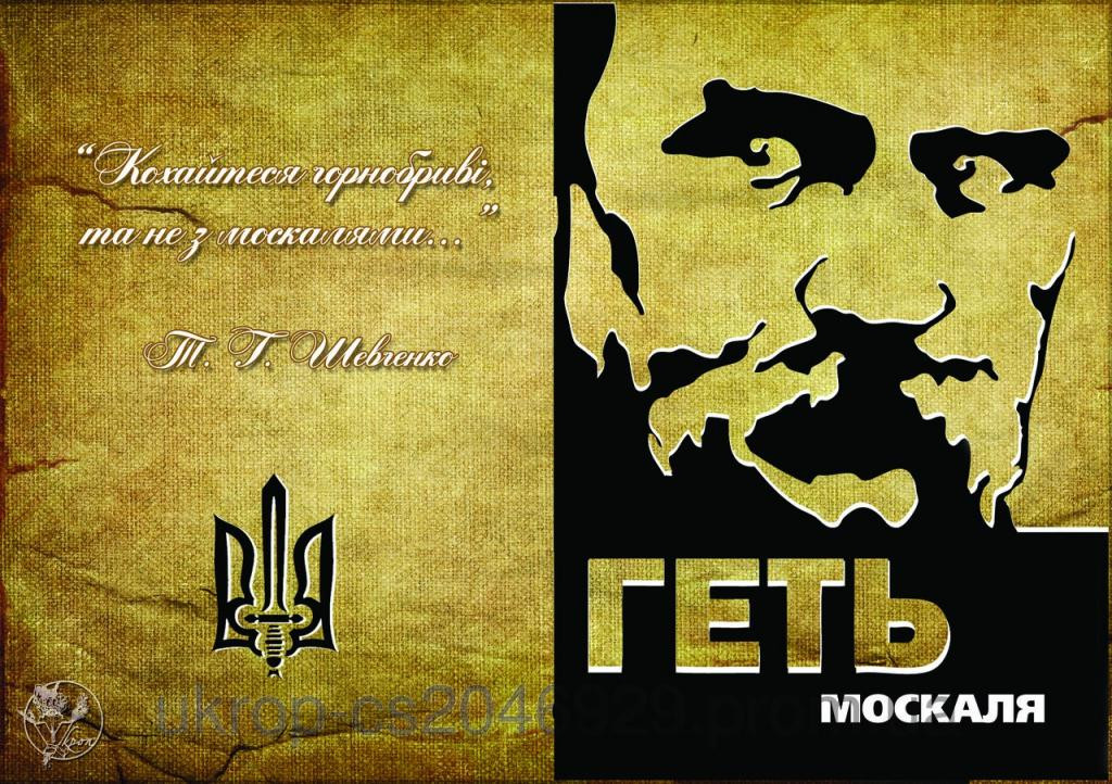 Обкладинка обкладинка на паспорт Шевченко, фото 1