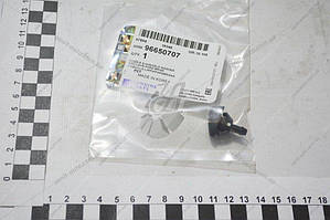 Форсунка омивача Авео Т250 скла лобового (GM) (96650707)