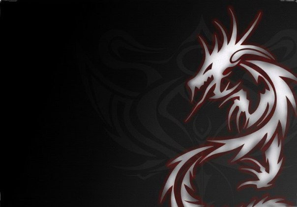 Обкладинка обкладинка на паспорт Дракон Dragon, фото 1