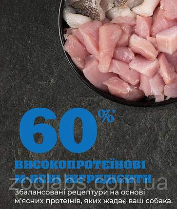 Acana Adult Dog Recipe 6 кг | Сухий корм для дорослих собак, фото 3