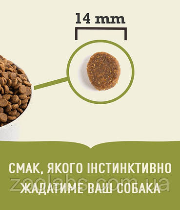 Acana Adult Dog Recipe 6 кг | Сухий корм для дорослих собак, фото 4