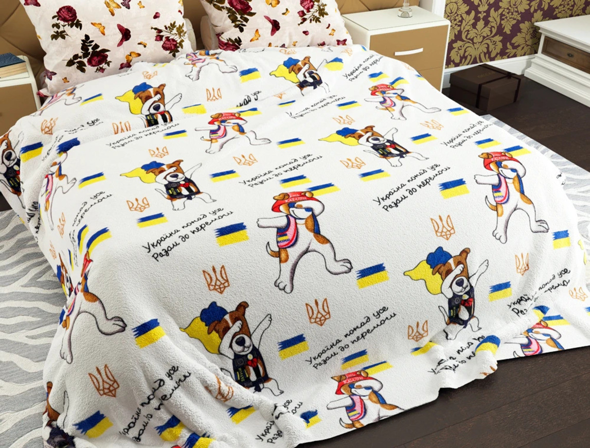 Плед флісовий євро "Пес Патрон" 200х220 Кольоровий флісовий плед (114994) Покривало плед мікрофібра, фото 1