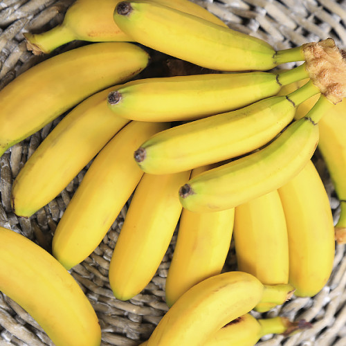 Банан Карликовий Кавендіш (однорічні, зкс), фото 1