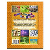 Енциклопедія чомусика. Ю.Карпенко, фото 2