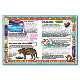 Енциклопедія чомусика. Ю.Карпенко, фото 3