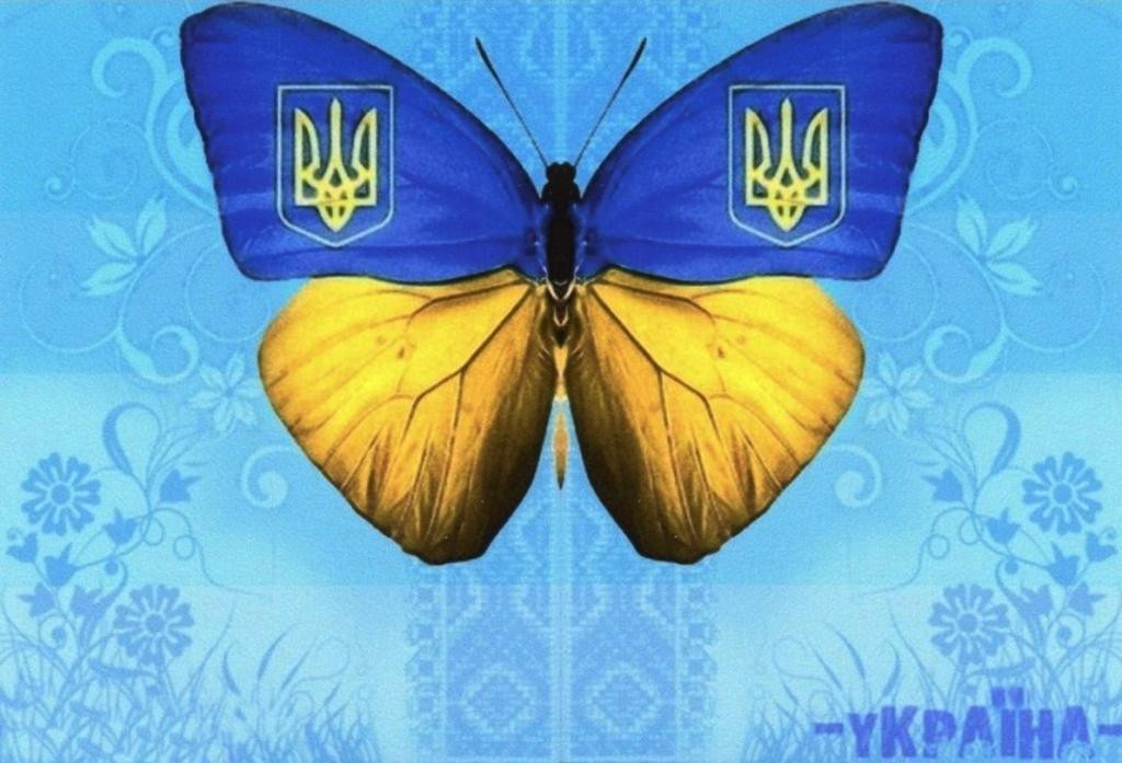Обложка обкладинка на паспорт Україна метелик, фото 1