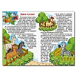Навчайся – розважайся. Пiзнавальні казки, фото 4