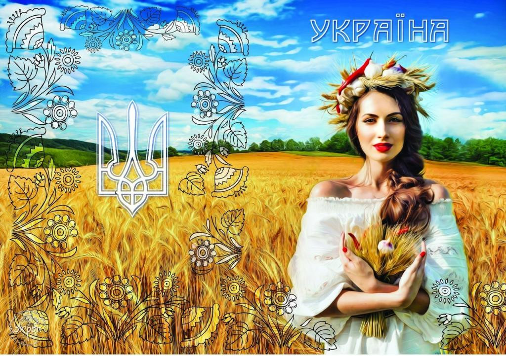 Обложка обкладинка на паспорт Україна Украина, фото 1