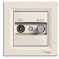 Розетка TV-SAT индивидуальная (1 дБ) Asfora, (крем) Schneider Electric