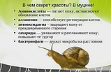 РАВЛИКОВИЙ ДОГЛЯД: Гель для вмивання + Тонік + Крем для обличчя з муцином равлики, фото 7