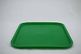 Пластикова прямокутна таця 44 см х 35 см (зелений колір), фото 2